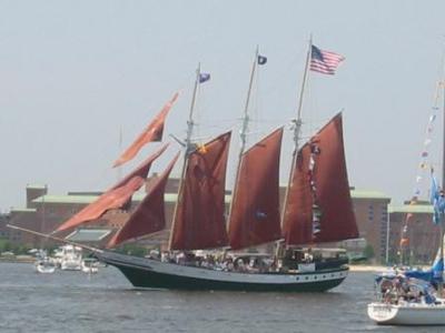 The Parade of Sail at Norfolk Harborfest