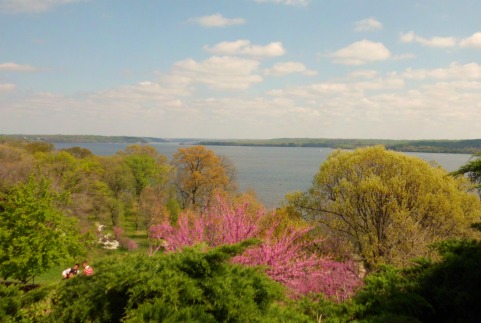 Mount Vernon