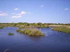 Back Bay Wildlife Refuge