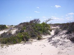 Back Bay Wildlife Refuge