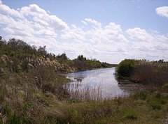 Back Bay Wildlife Refuge