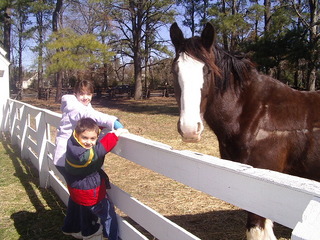 Colonial Williamsburg