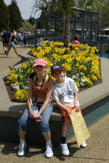 Beautiful flowers near "Escape from Pompeii" at Busch Gardens Williamsburg.